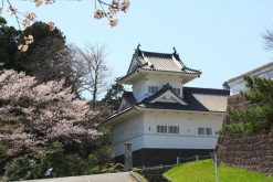 Sendai Castle Ishinomaki