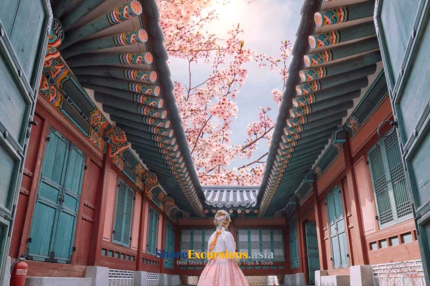 Seoul - where to see cherry blossoms in korea