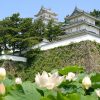 Shimabara-Castle-Nagasaki-shore-excursions