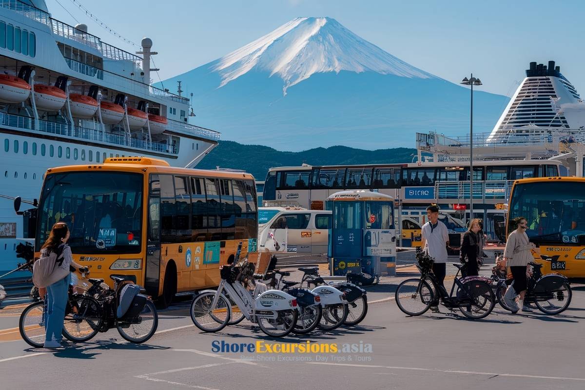 Shimizu Transportation Guide