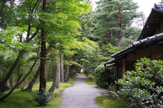 Shimizu-en Garden Niigata shore excursions