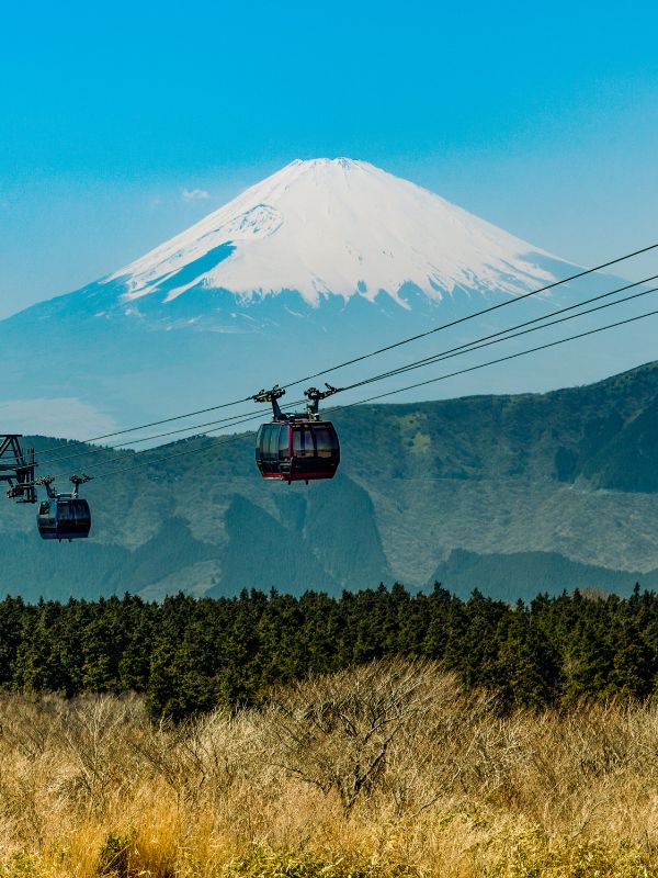 Mt Fuji - Shimizu on Japan cruise excursions