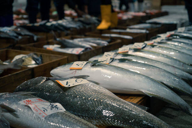 Shimizu shore excursions attractions Fish Market