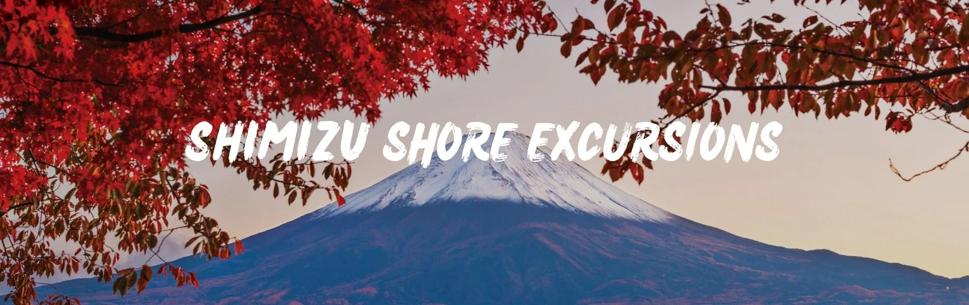 Shimizu shore excursions banner