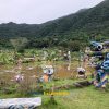 Shisa Statue Garden on Ishigaki shore excursions