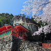 Shore Excursions Shingu Shrines & Dorokyo Gorge