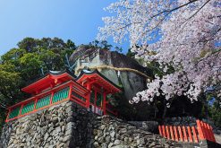 Shore Excursions Shingu Shrines & Dorokyo Gorge