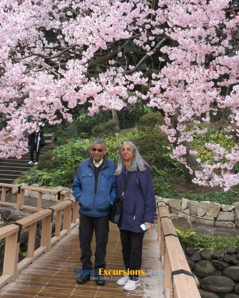 Shore excursions Tokyo review