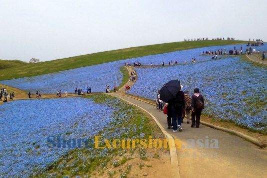 Shore excursions form Hitachinaka Cruise Port