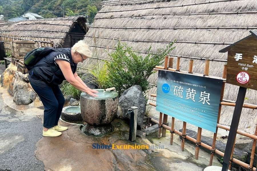 Shore trips from Beppu cruise port