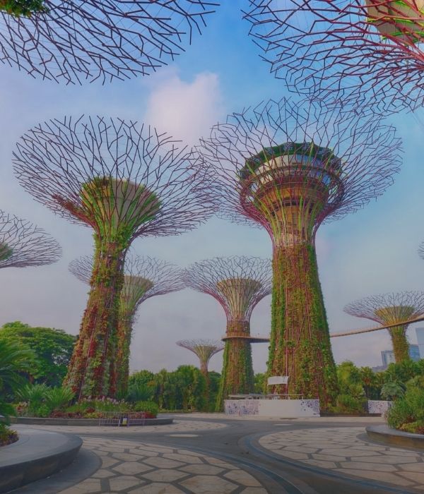 Singapore Pre Post Cruise Tour Packages