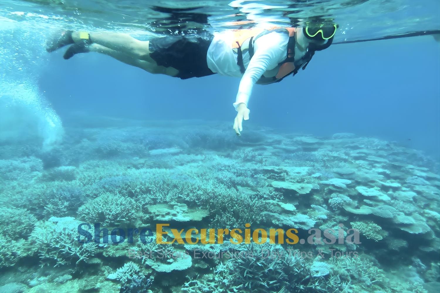 Snorkeling on Anami Oshima shore excursions