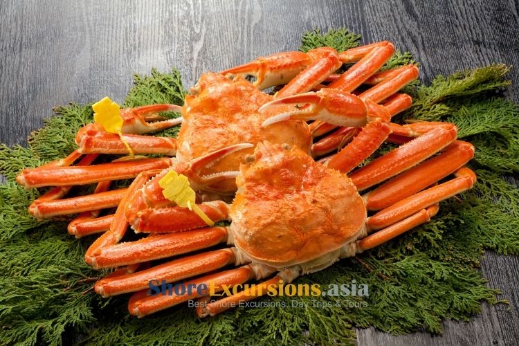 Snow Crab - Maizuru shore tours