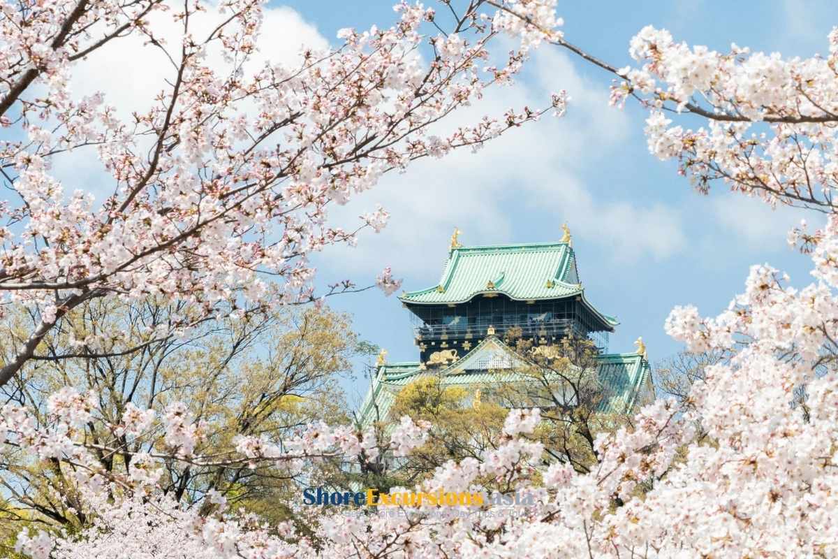 Spring - Best time to visit Osaka