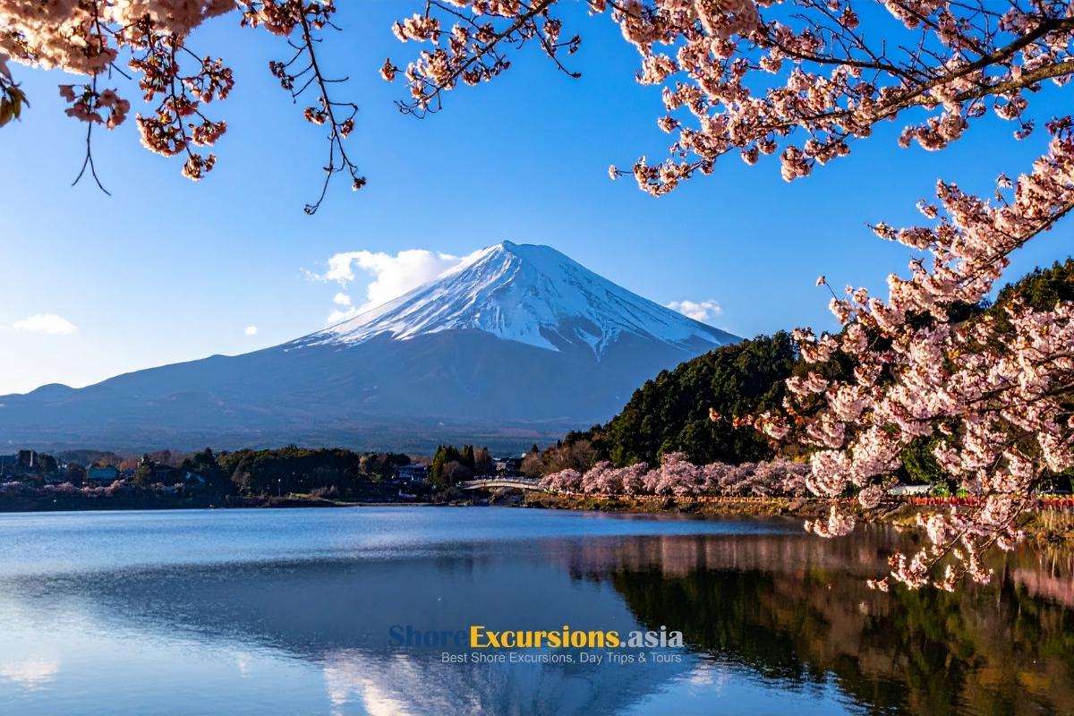 Spring - Ideal time to visit Mount Fuji Japan