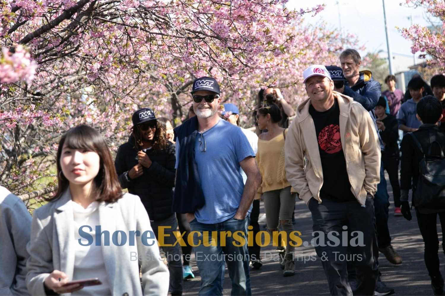 Spring on Omaezaki shore excursions