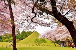 Suizenhi Garden Kumamoto shore excursions