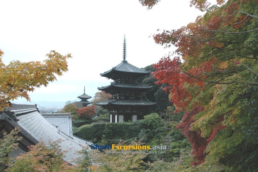 Taima-dera Temple - Osaka Excursions Taima-dera Temple - Osaka Excursions