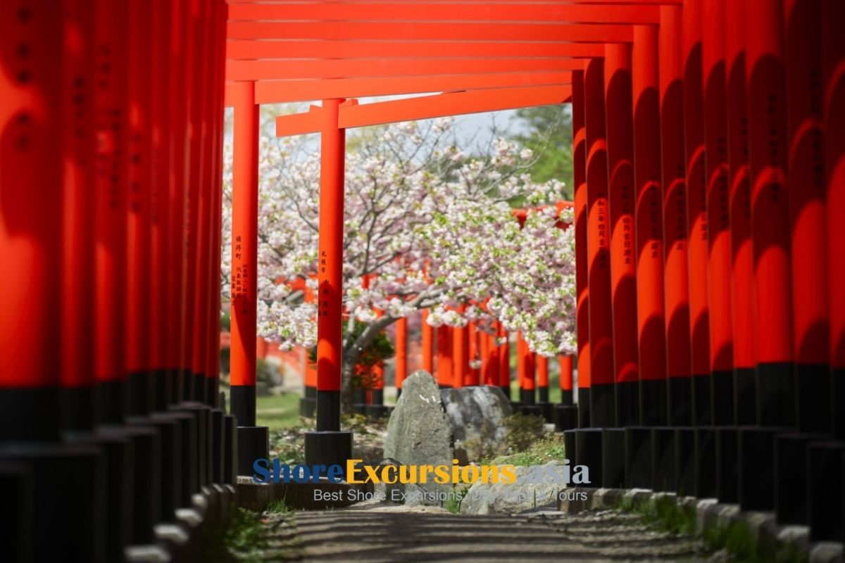 Takayama Inari Shrine on Aomori Day Tours