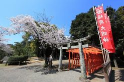 Taste of Kumamoto shore excursions