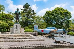 The Best of Kagoshima shore excursions