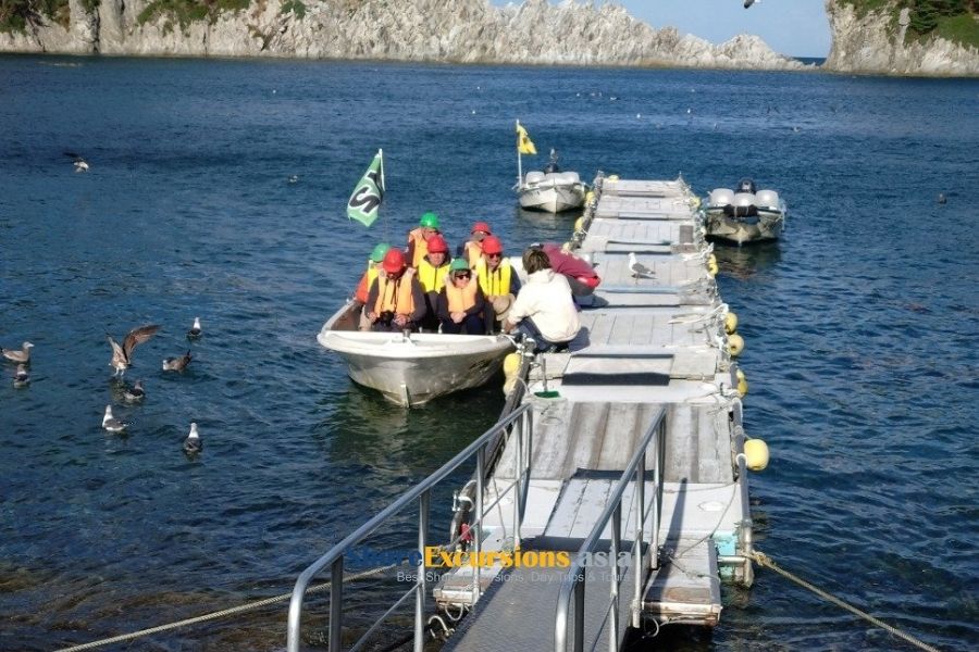 Tips for Miyakojima shore excursions