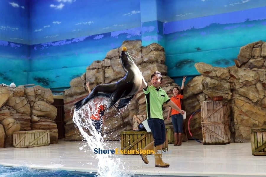 Toba Aquarium on shore excursions