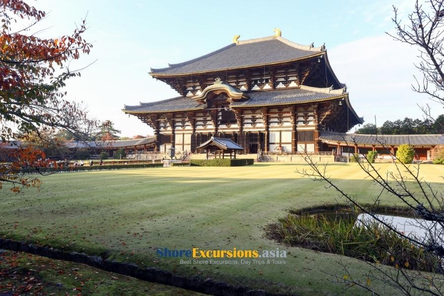 Todaiji Temple on Nara tours from Osaka port