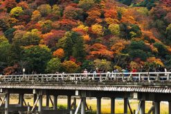 Togetsukyo Bridge Maizuru shore excursions