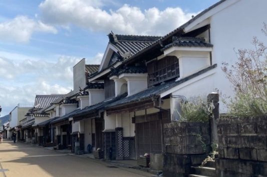 Tokushima cruise port tour to Mima city