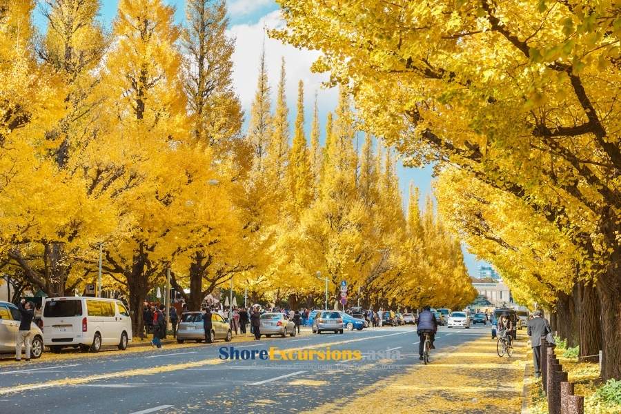 Tokyo - Best place to visit in Japan in november