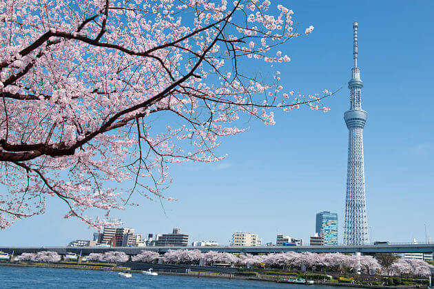 Tokyo Skytree attractions Tokyo shore excursions