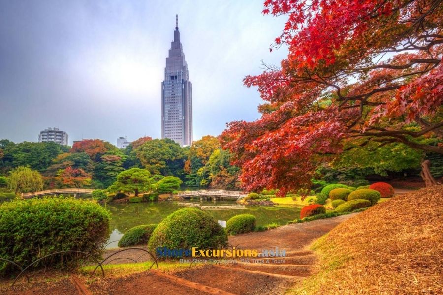 Tokyo cruise excursions in th Autumn