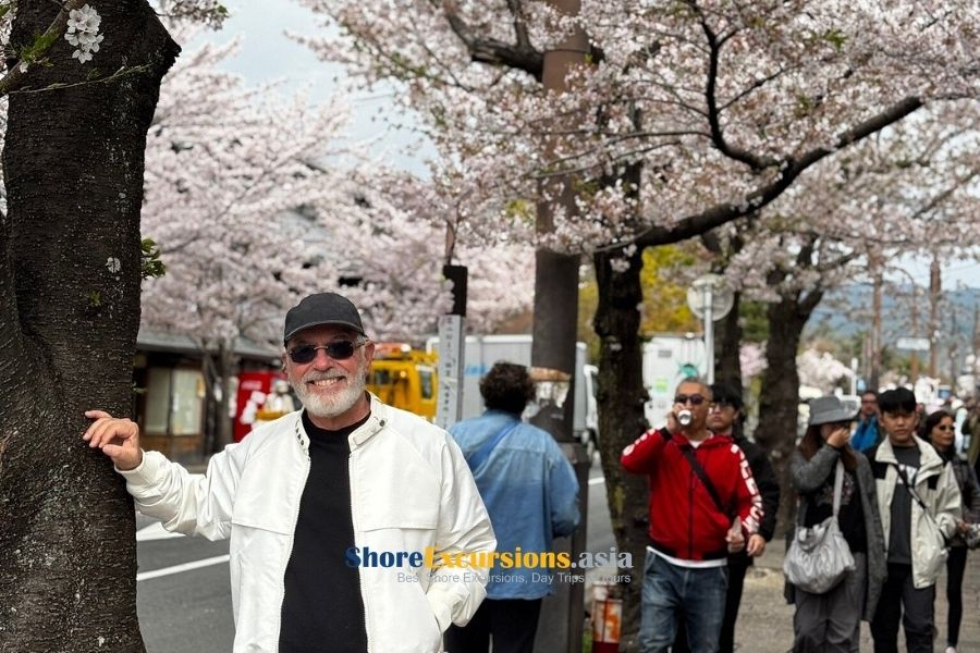 Tokyo cruise excursions on Spring Cherry Blossom Season