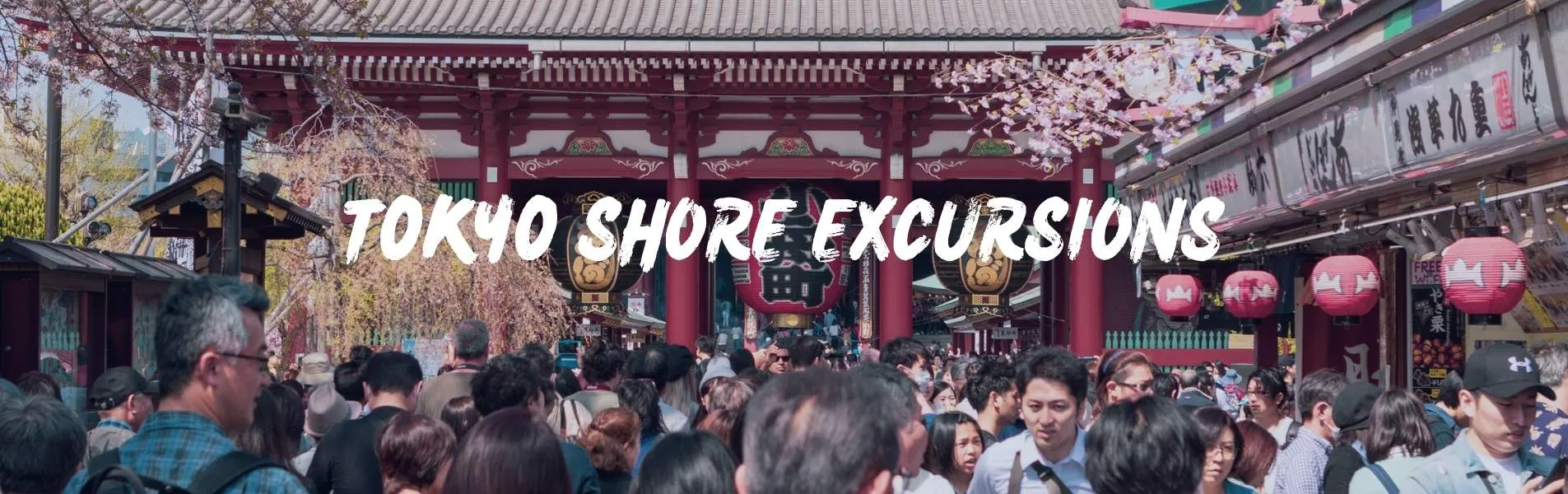 Tokyo shore excursions banner
