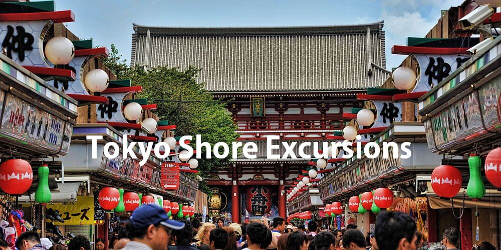 Tokyo shore excursions