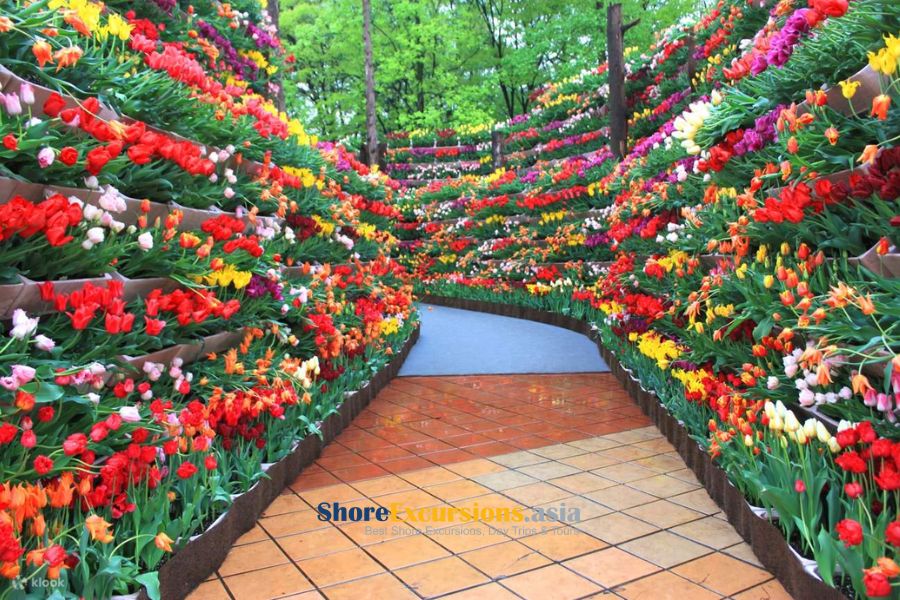 Tonami Tulip Gallery - Toyama Shore Excursions