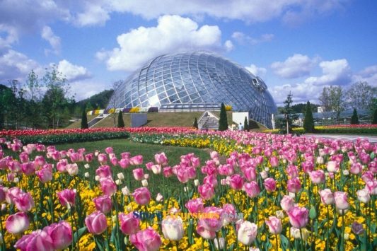 Tottori Hana Kairo on Sakaiminato Shore Excursions