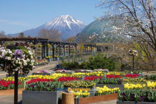 Tottori Hanakairo Flower Park