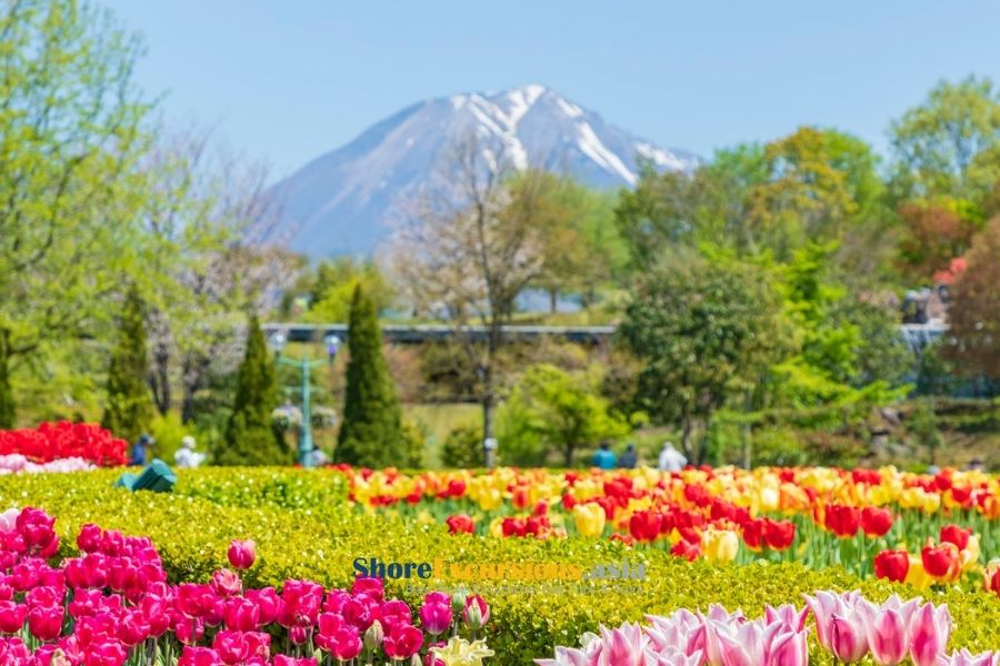 Tottori Hanakairo on Sakaiminato cruise excursions