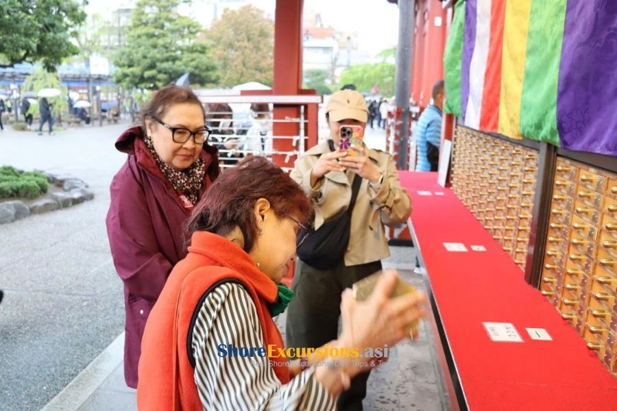 Meiji Shrine - Traditional experience on Tokyo excursions