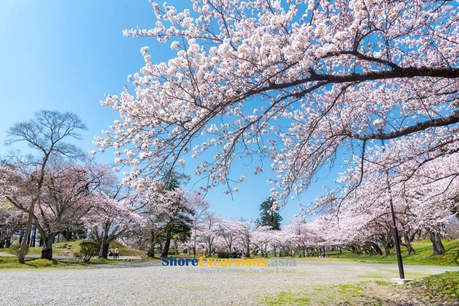 Tsuruoka Castle Ruins Park - Sakata cruise excursions Tsuruoka Castle Ruins Park - Sakata cruise excursions