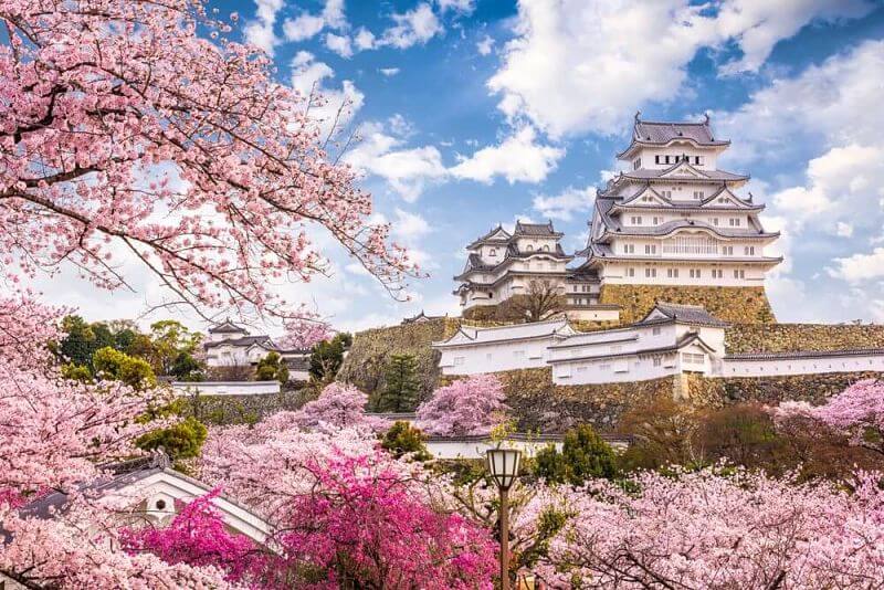 Ultimate Guide Cruising Japan shore excursions