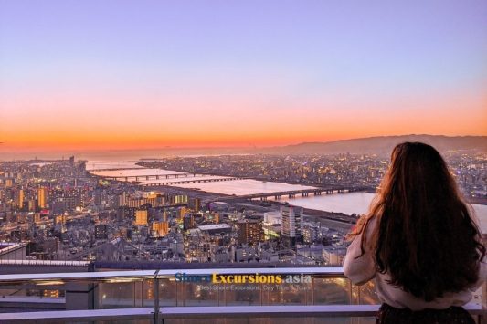 Umeda Sky Building view on Osaka city tour