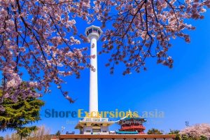 Visit Busan Tower