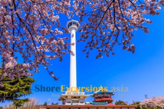Visit Busan Tower