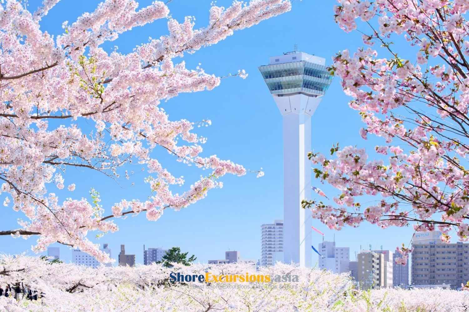 Visit Hokkaido Japan in May