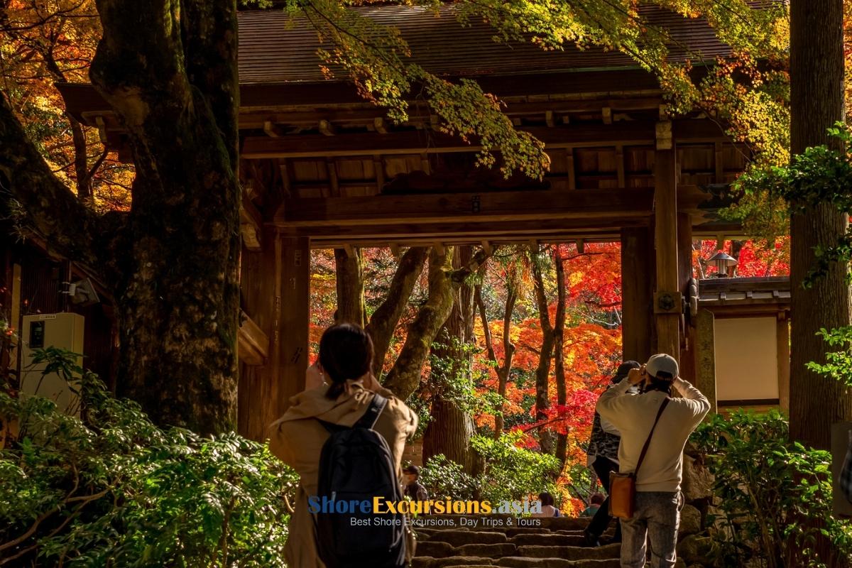 Visit Kobe in Autumn - Kobe travel guide