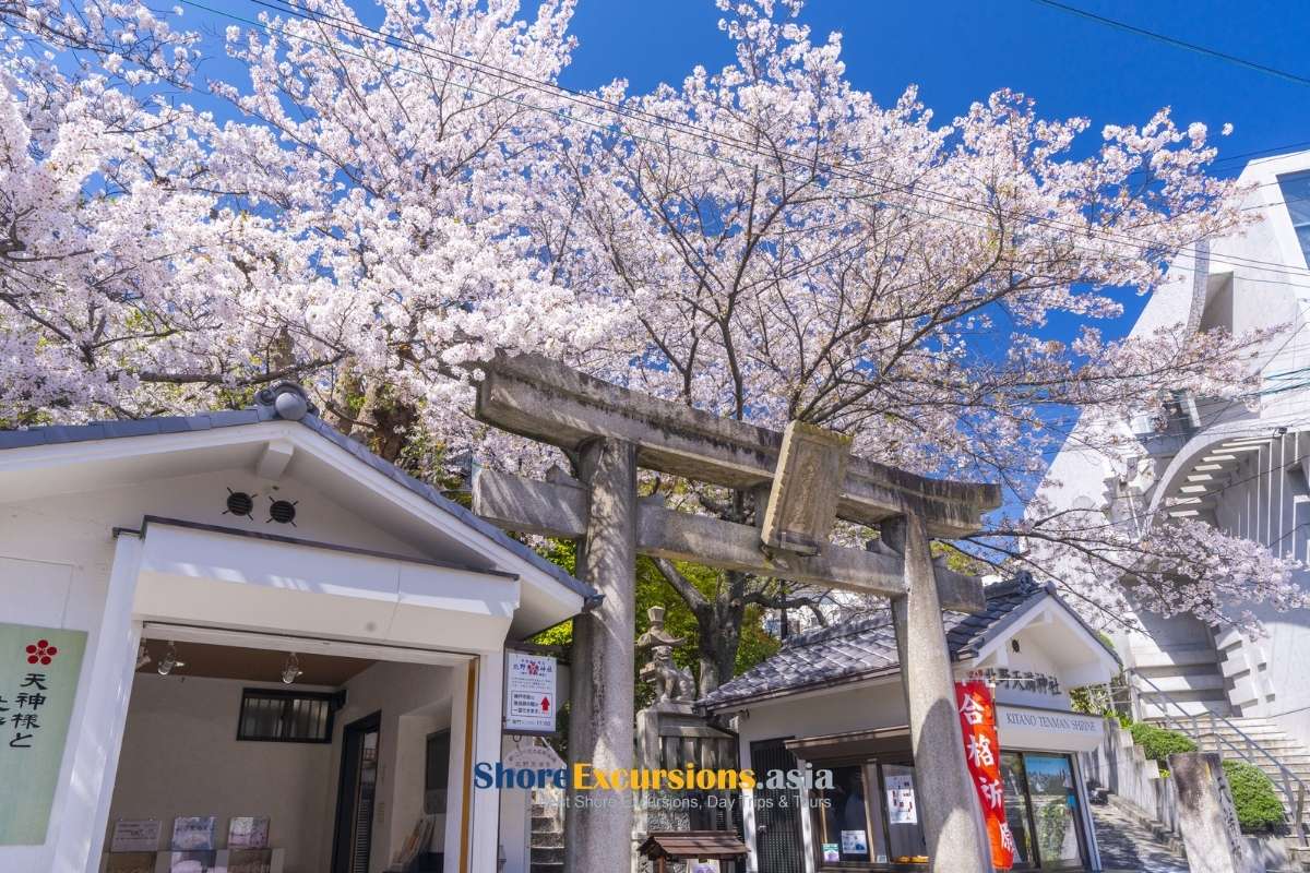 Visit Kobe in Spring - Kobe travel guide