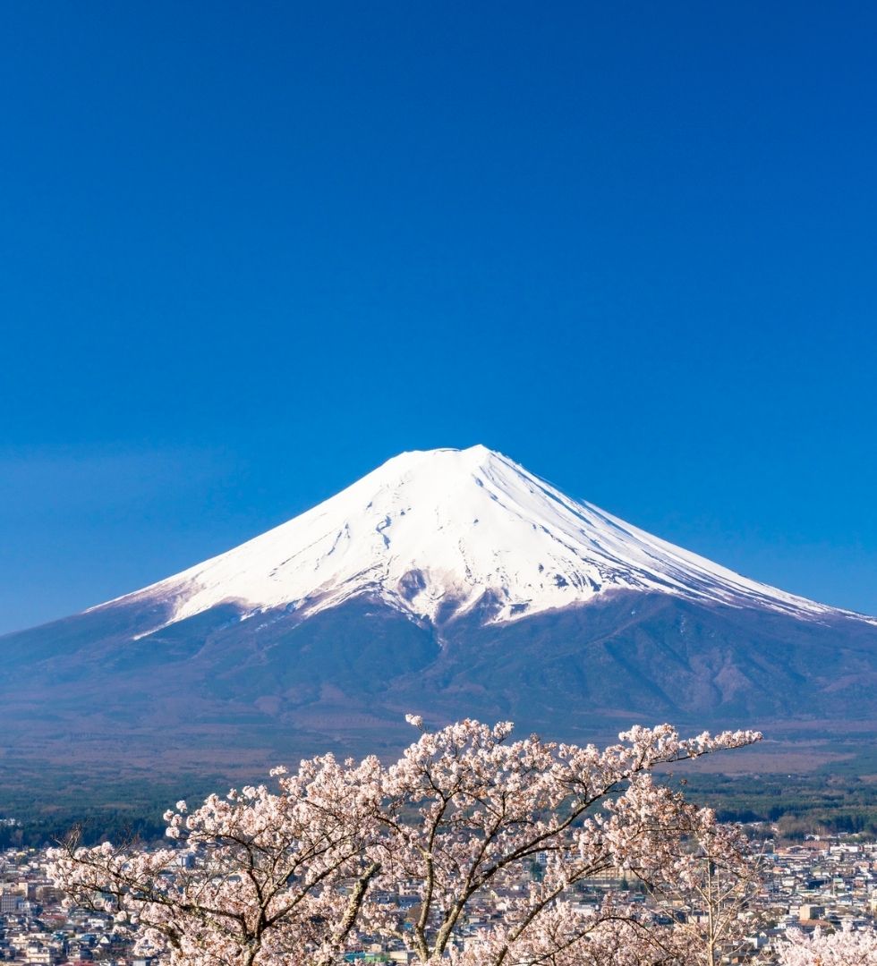 Visit Mount Fuji on Shimizu shore excursions